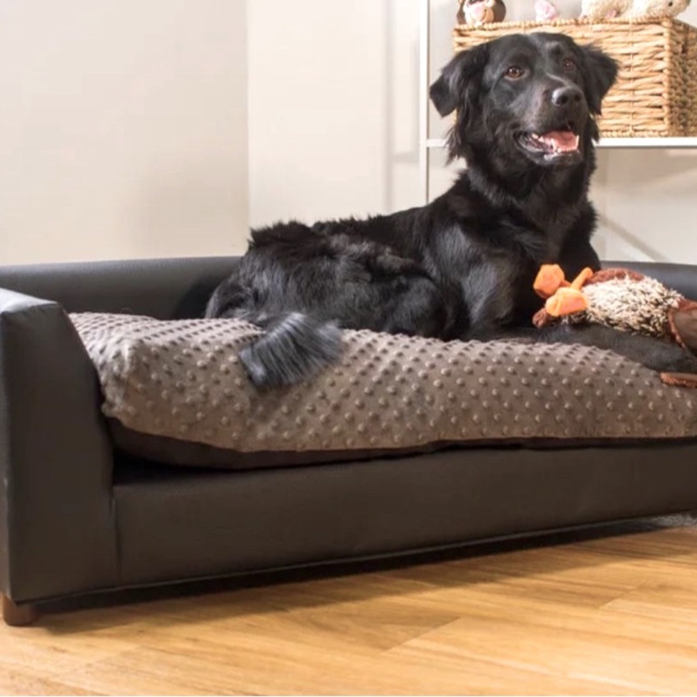 Fancy dog couch
